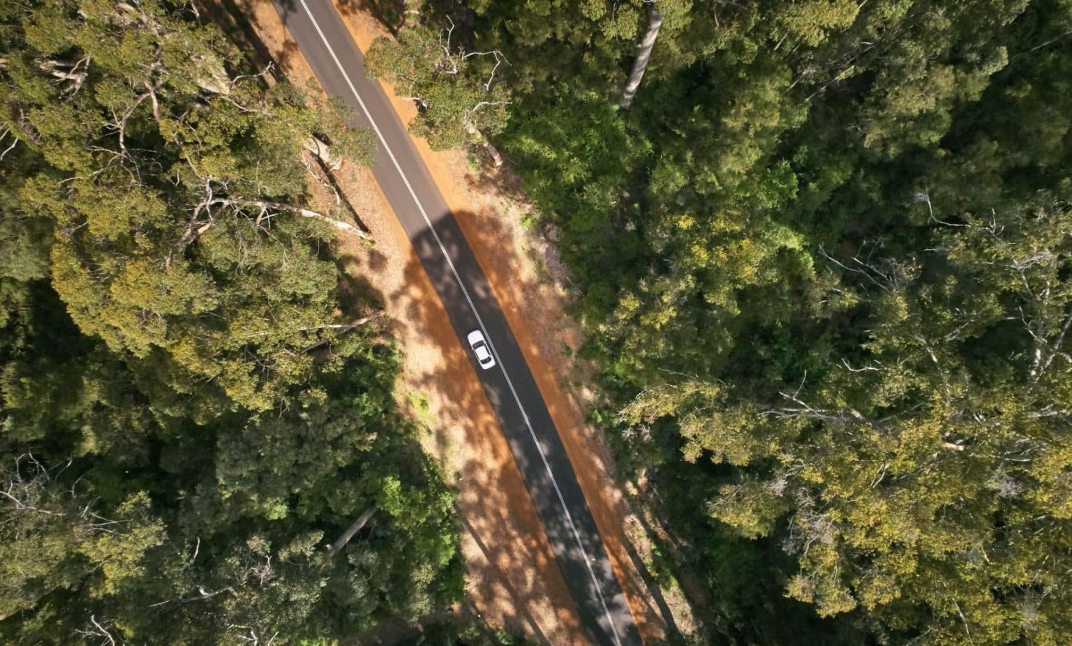 Views over a car driving in the magical forests of the Southern Forests & Valleys region